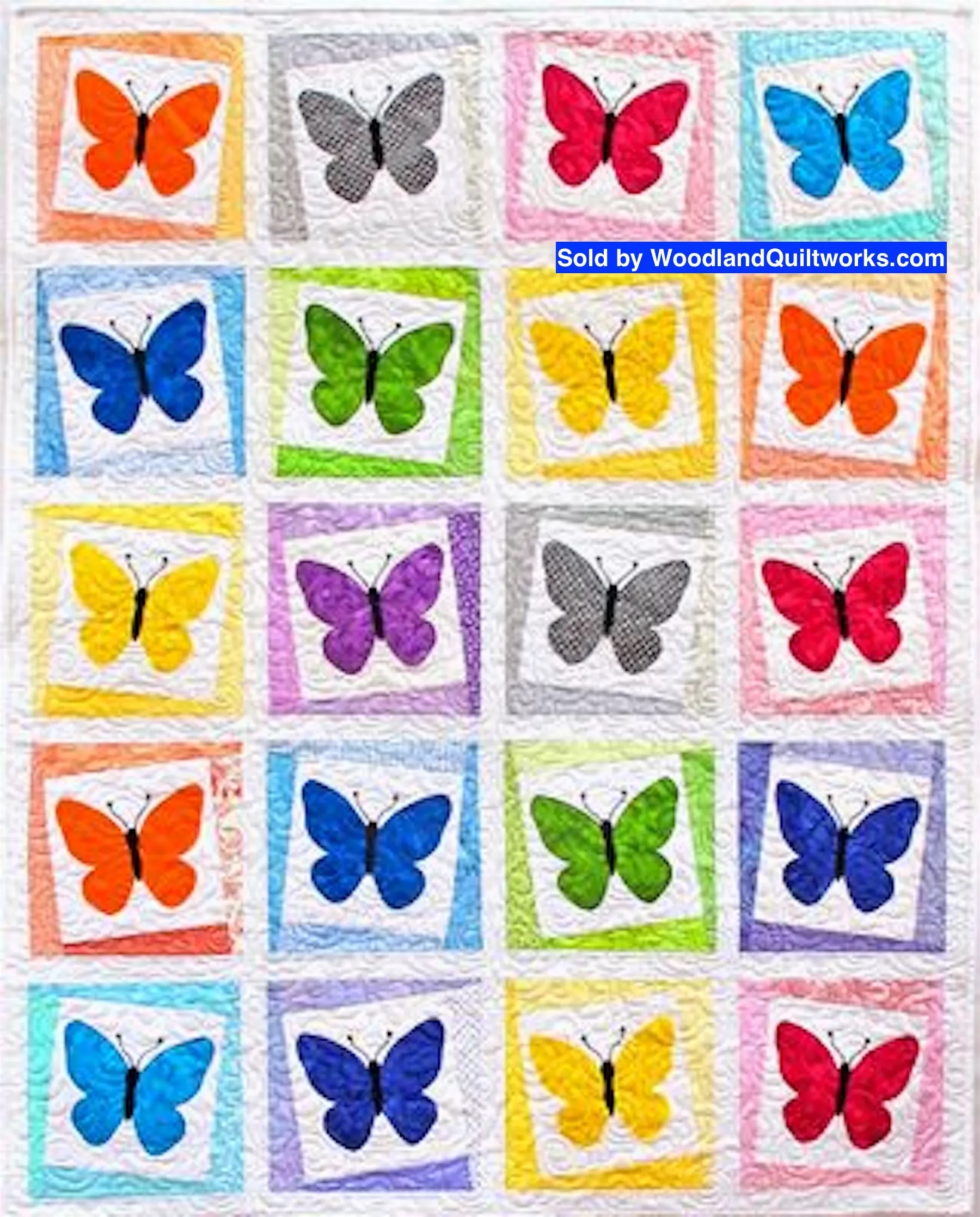 Beautiful Butterflies by Barbara Smith