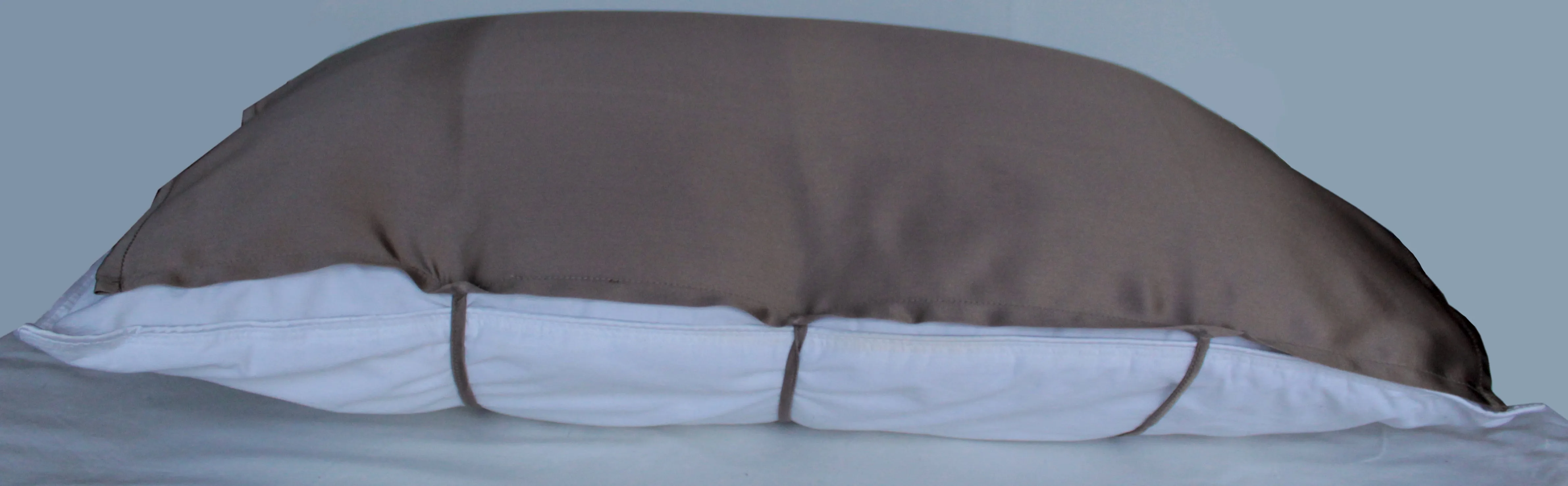 Bold Bronze 100% Silk Travel Pillow Topper