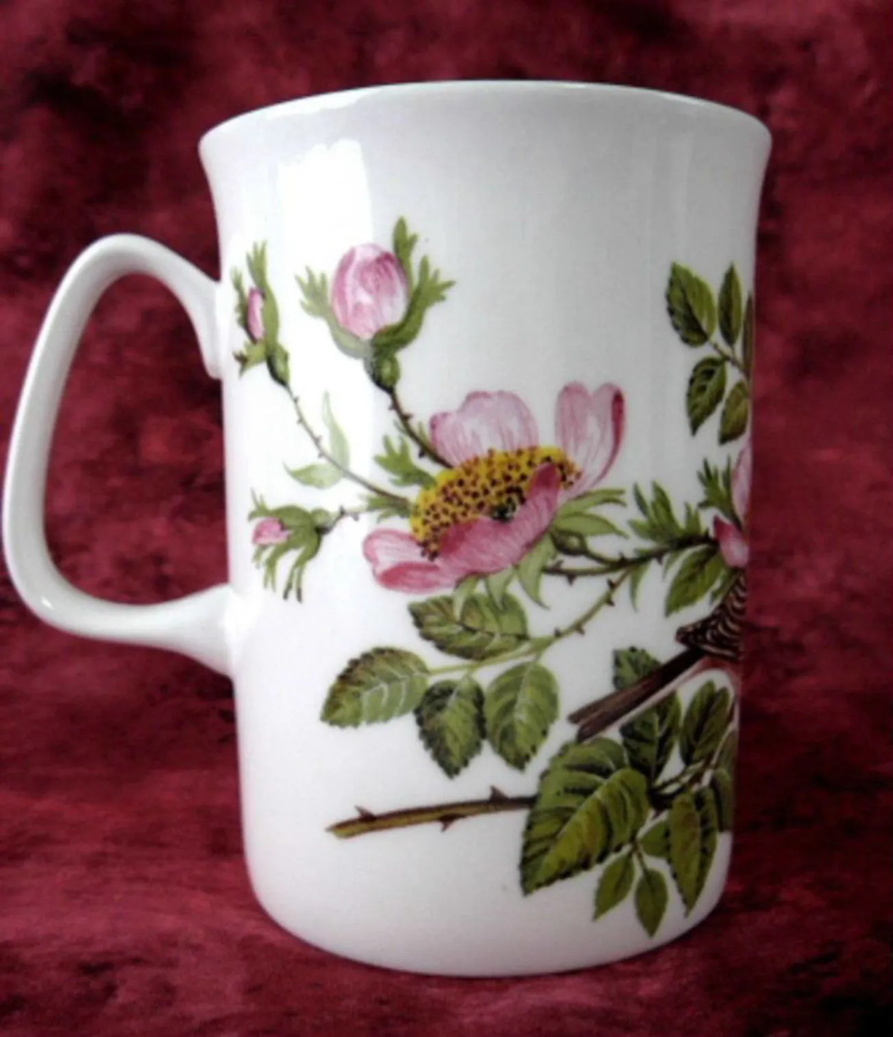 English Robin Mug English Bone China Wild Roses Birds Mug Rose England