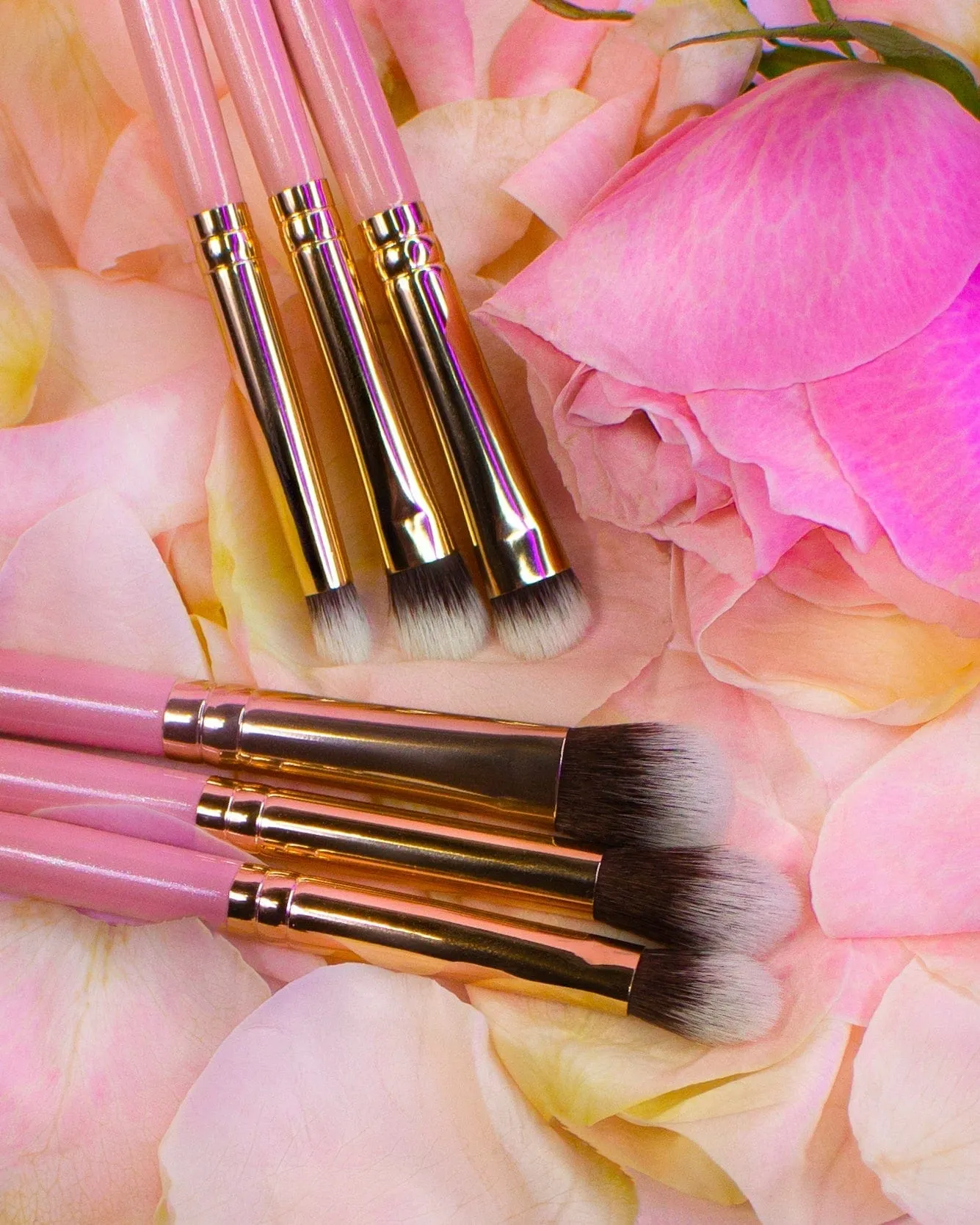 Essential Makeup Brushes