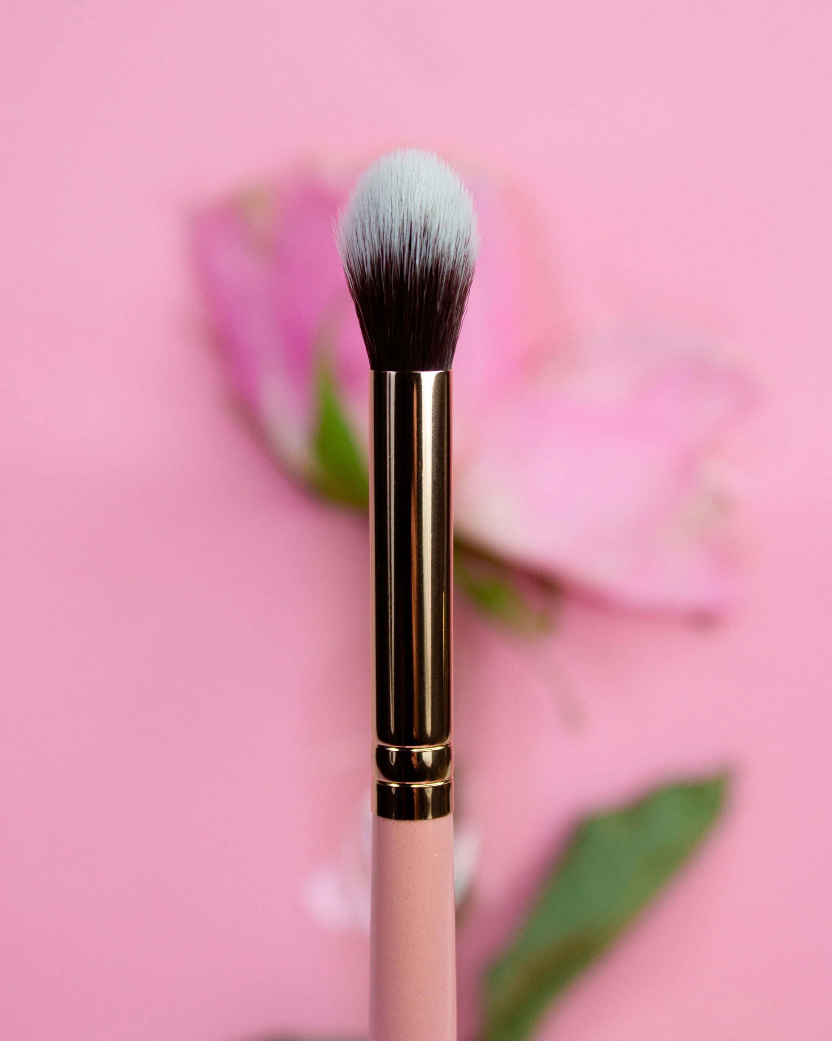 Essential Makeup Brushes