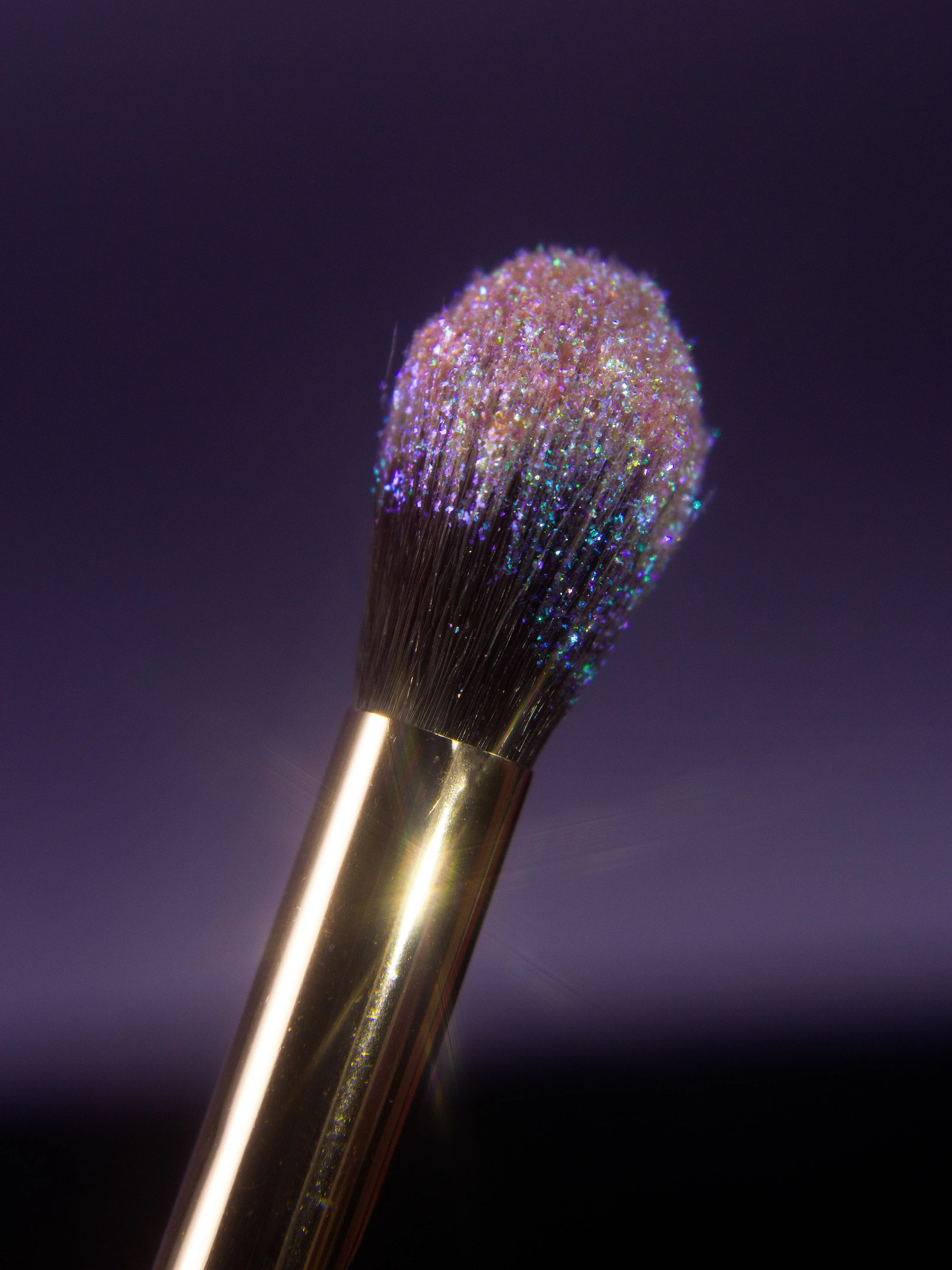 Essential Makeup Brushes