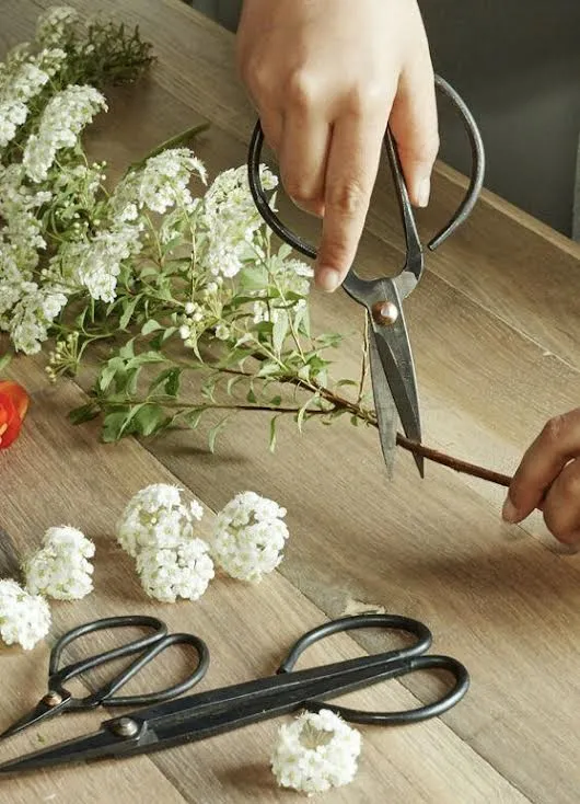 Garden Shears Set