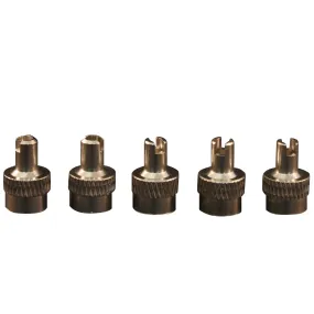 TR VC 2 Screwdriver Type Valve Cap (Pack of 10)